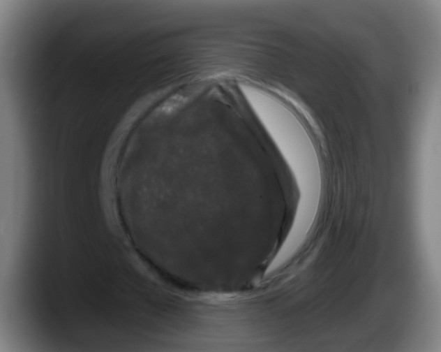 X0000087610577200705251944