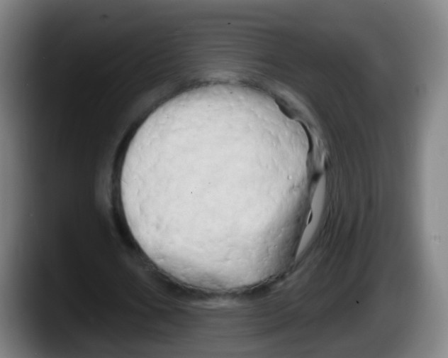 X0000087610578200705251944