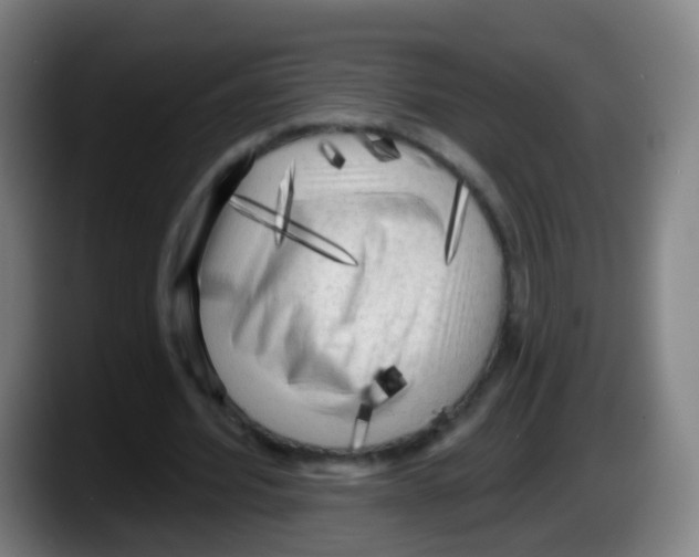 X0000087610580200705251944