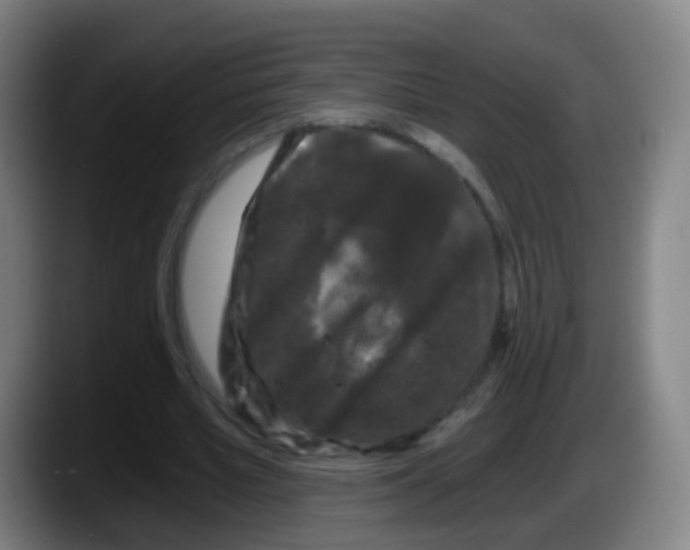 X0000087610581200705251944