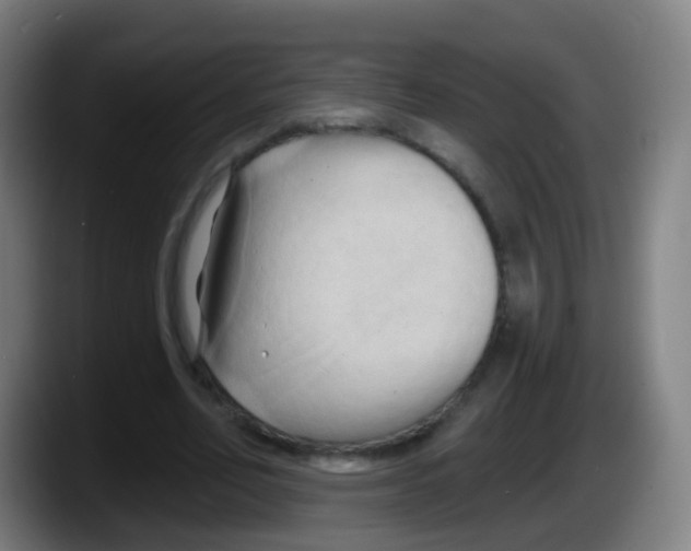 X0000087610582200705251944