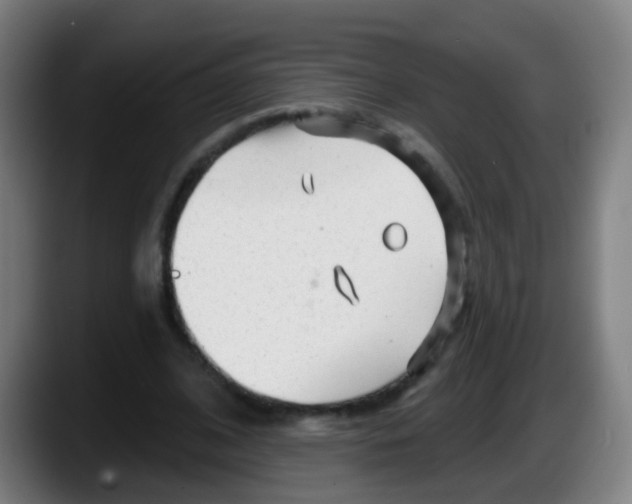 X0000087610584200705251944