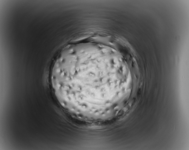 X0000087610585200705251944