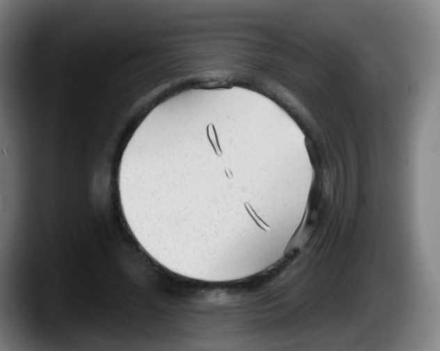 X0000087610588200705251944