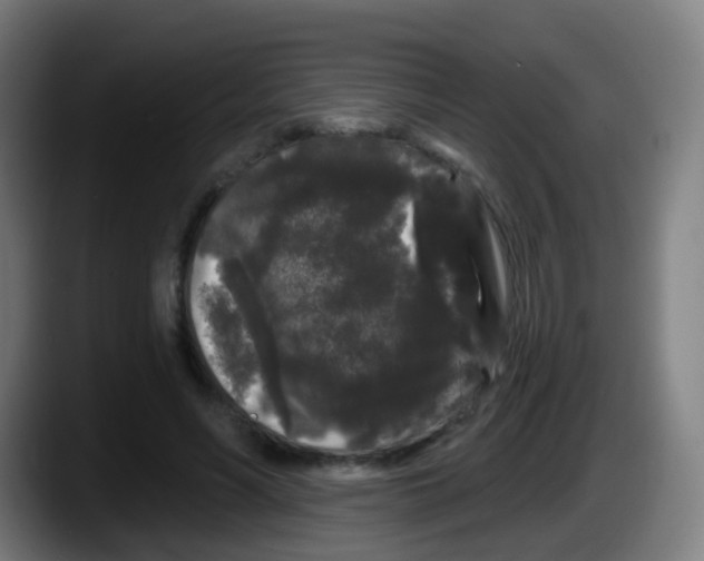 X0000087610590200705251944