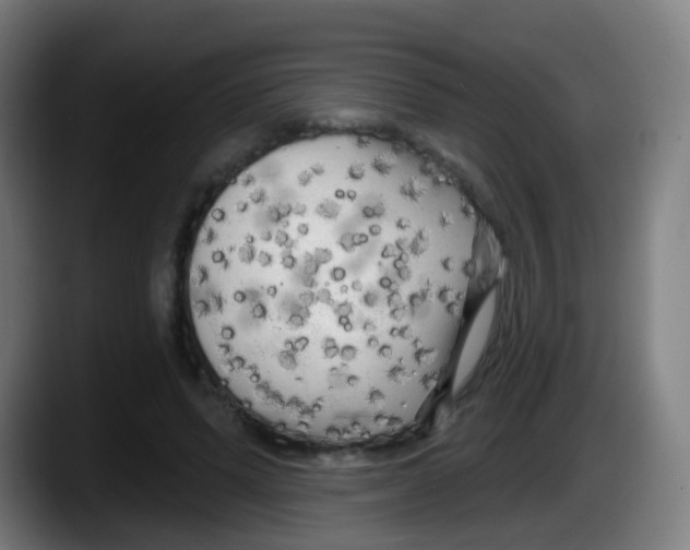 X0000087610591200705251944