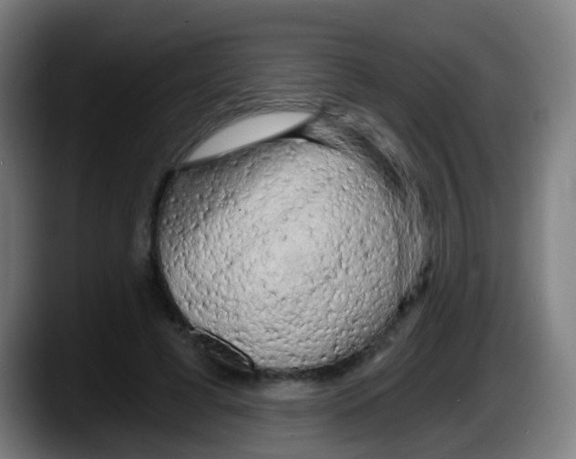 X0000087610593200705251944