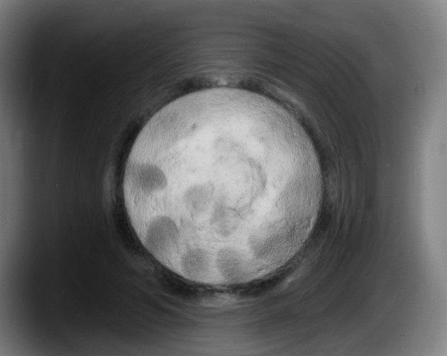 X0000087610594200705251944