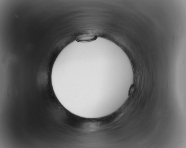 X0000087610595200705251944