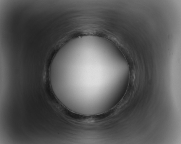 X0000087610600200705251944