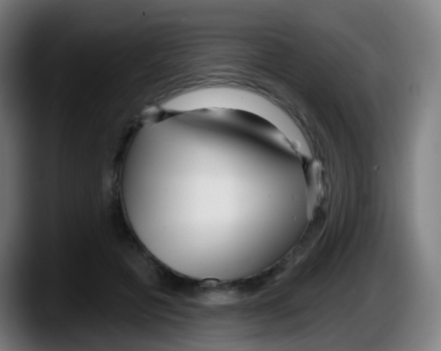 X0000087610601200705251944