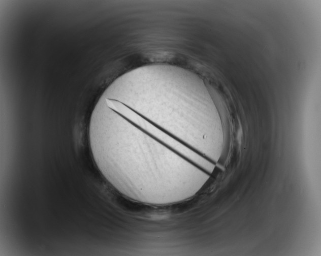 X0000087610604200705251944