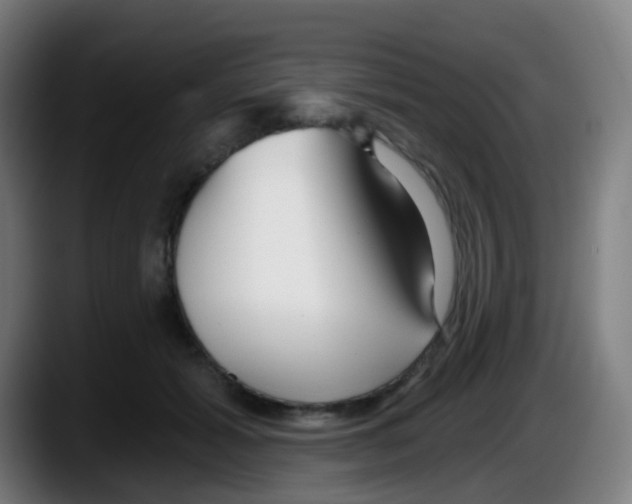 X0000087610605200705251944