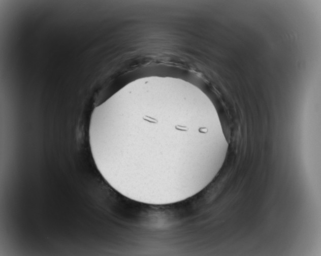 X0000087610608200705251944