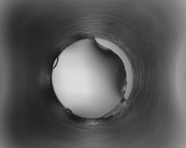 X0000087610613200705251944