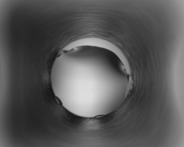 X0000087610617200705251943