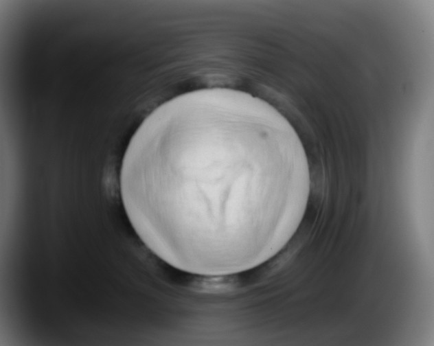 X0000087610622200705251943