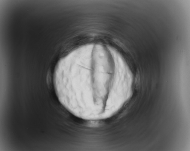 X0000087610623200705251943