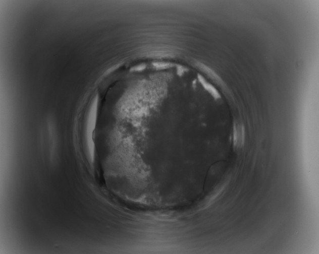 X0000087610627200705251943