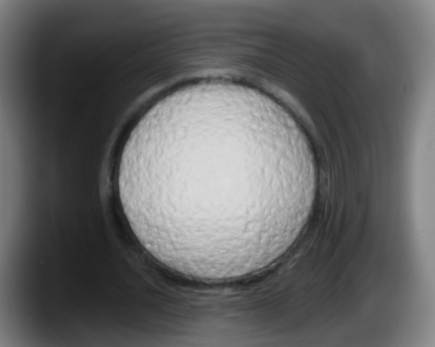 X0000087610628200705251943