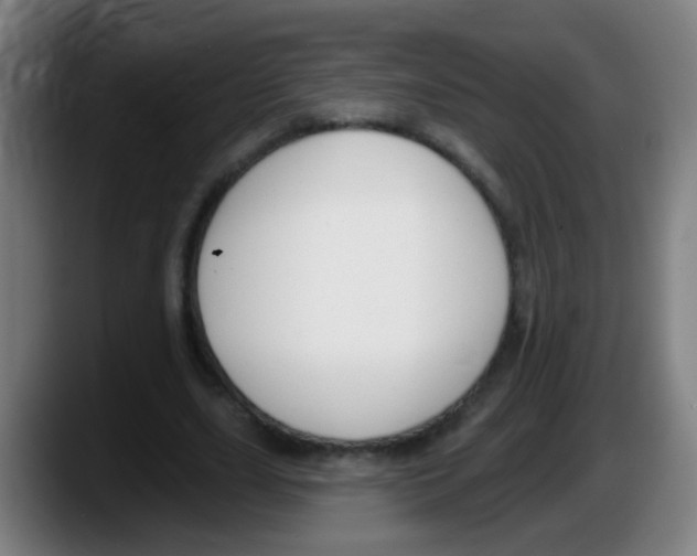 X0000087610631200705251943