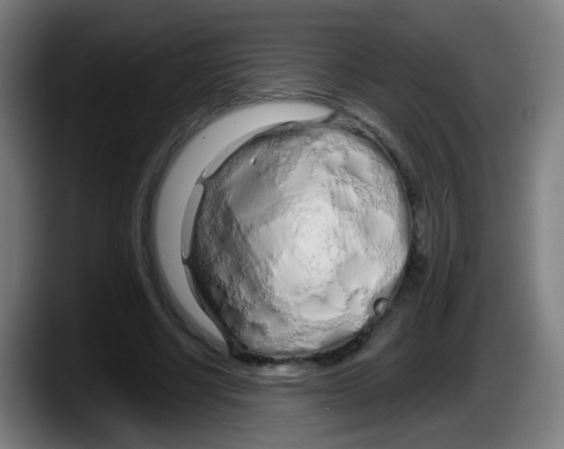 X0000087610634200705251943