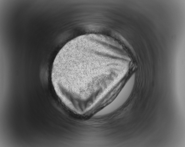 X0000087610637200705251943