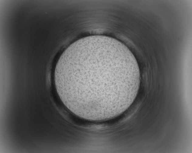 X0000087610638200705251943