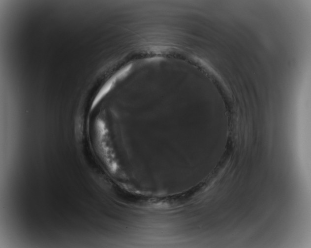 X0000087610640200705251943