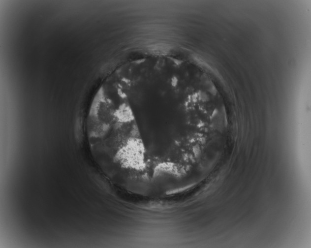 X0000087610641200705251943