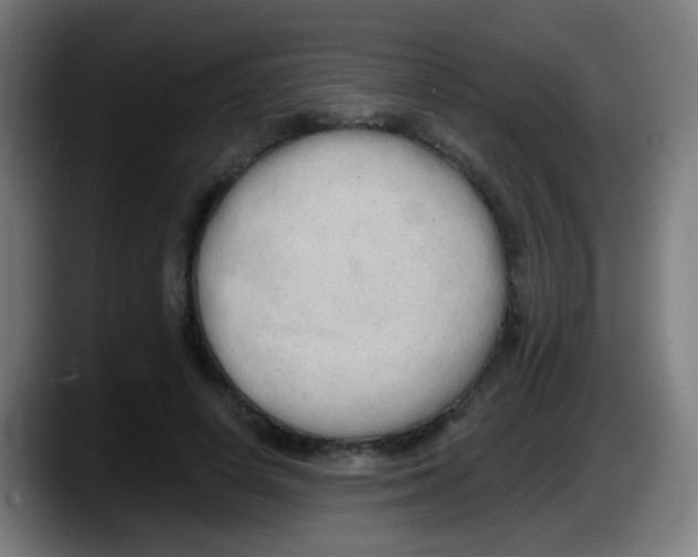 X0000087610642200705251943