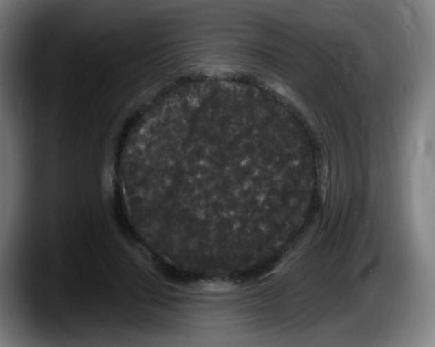 X0000087610644200705251943