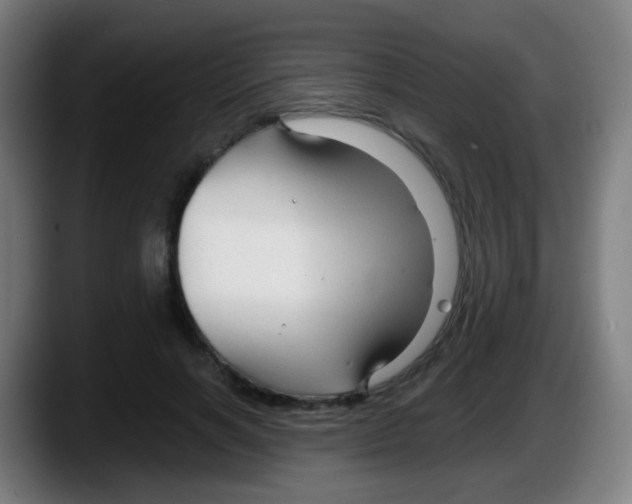 X0000087610646200705251943