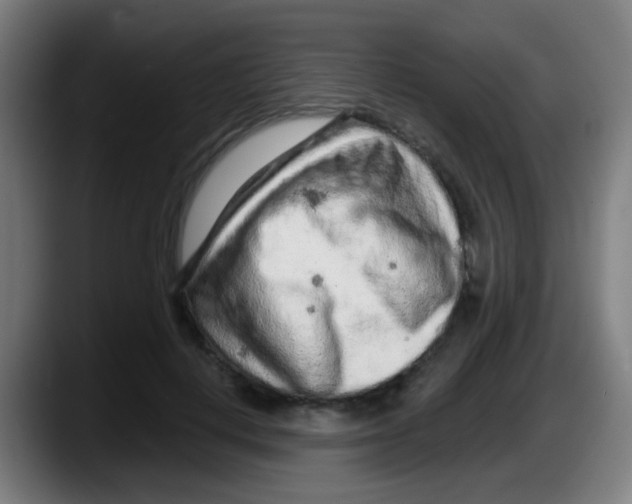 X0000087610648200705251943