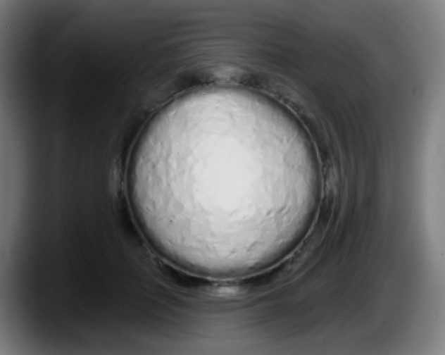 X0000087610651200705251943