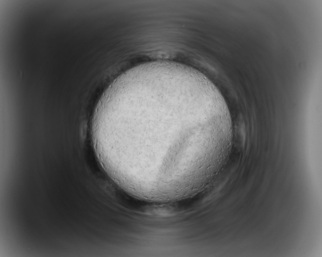 X0000087610652200705251943