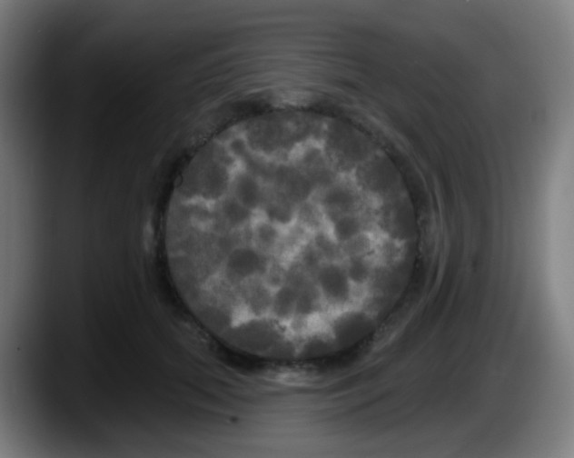 X0000087610655200705251943