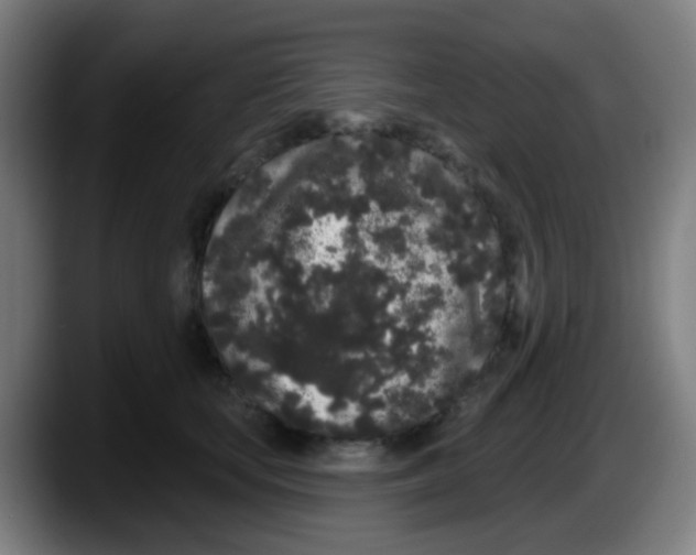 X0000087610659200705251943