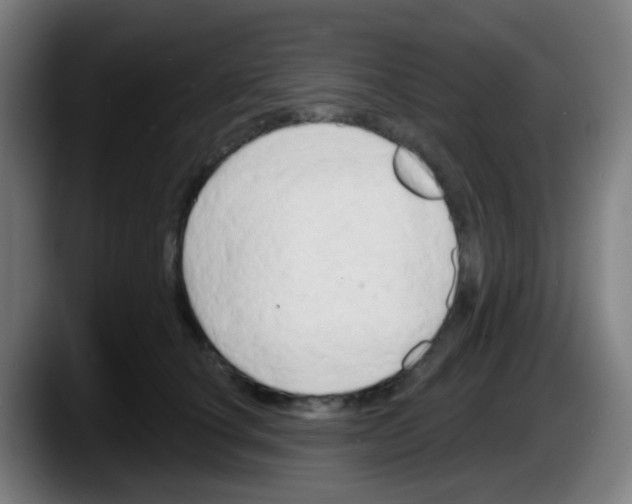 X0000087610660200705251943