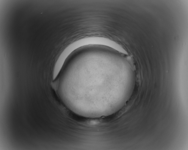 X0000087610662200705251943