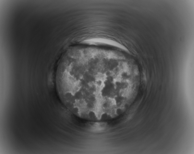 X0000087610663200705251943