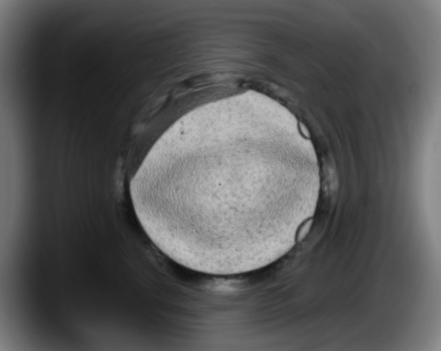 X0000087610664200705251943