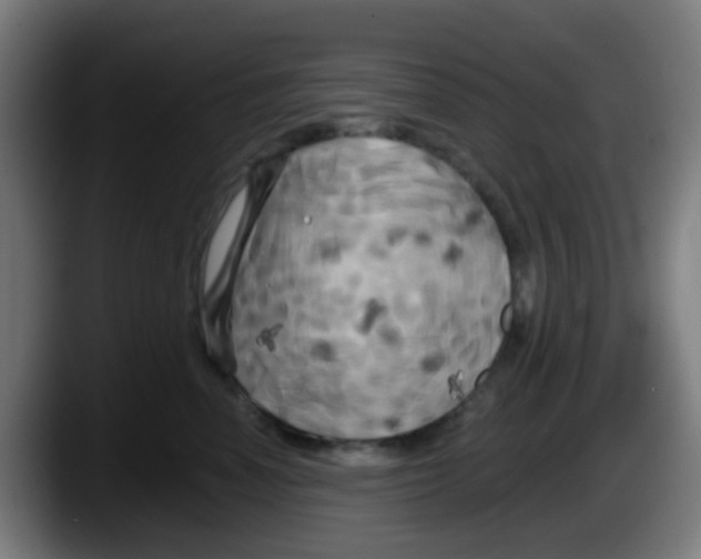 X0000087610666200705251943