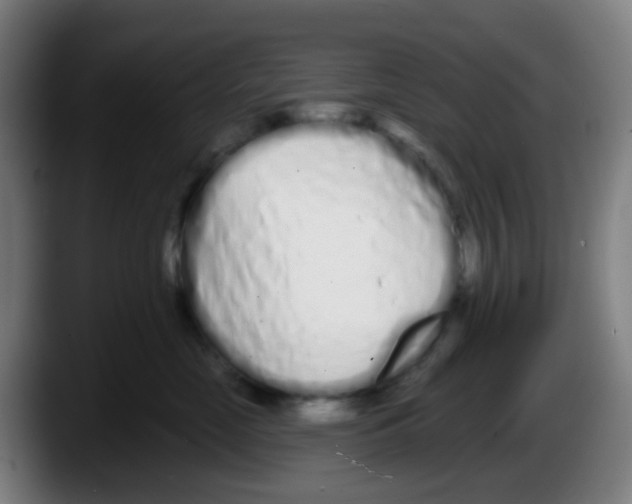 X0000087610669200705251943