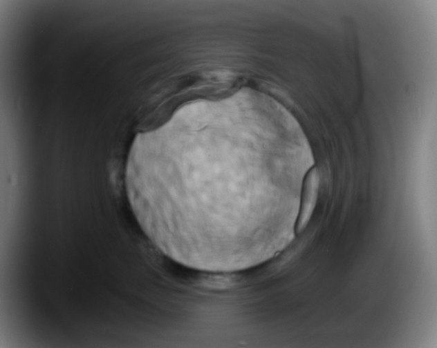 X0000087610671200705251943