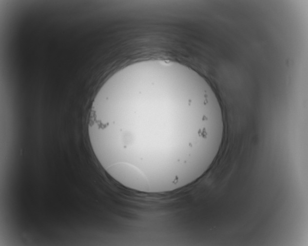 X0000087610672200705251943