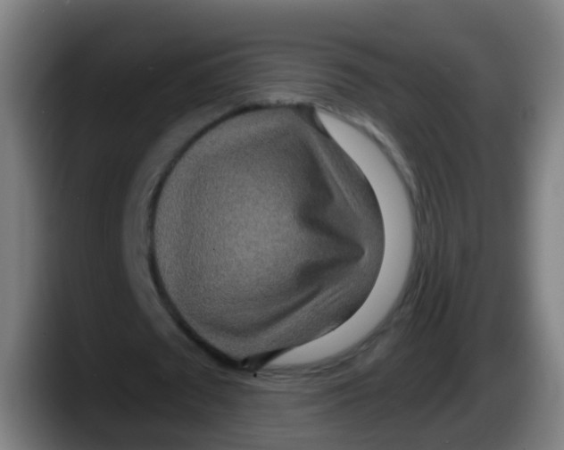 X0000087610673200705251943