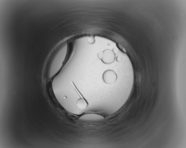 X0000087610676200705251943