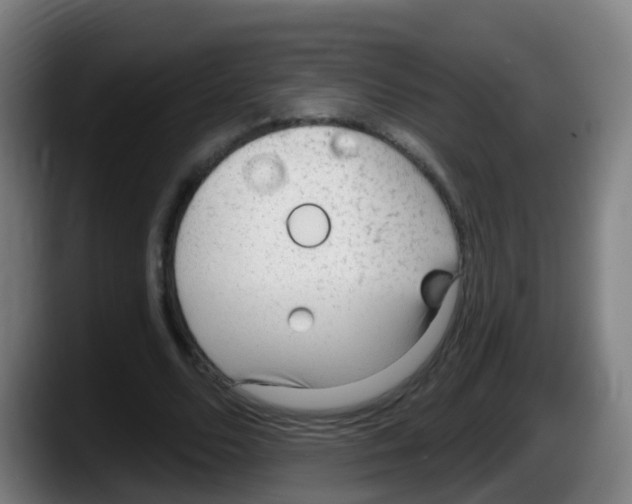 X0000087610680200705251943