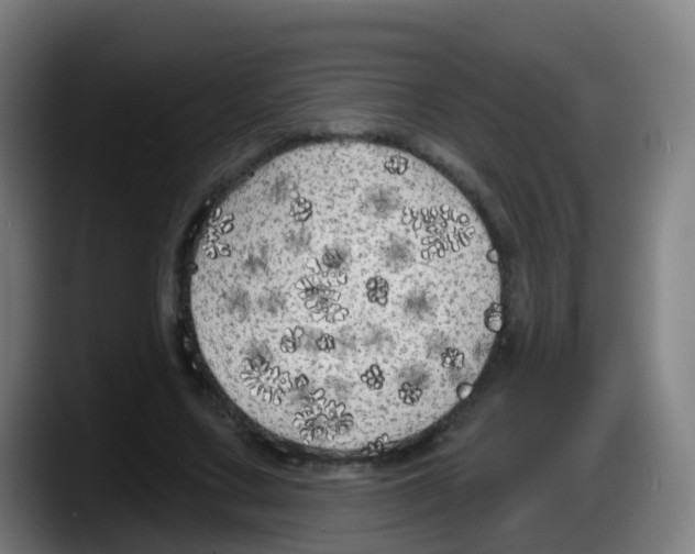 X0000087610683200705251943